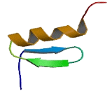 Zinc Finger Protein 367 (ZNF367)