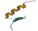 Zinc Finger Protein 383 (ZNF383)