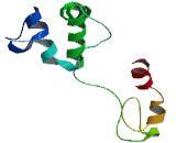 Zinc Finger Protein 385B (ZNF385B)