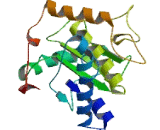 Zinc Finger Protein 408 (ZNF408)