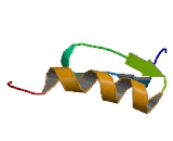 Zinc Finger Protein 41 (ZNF41)