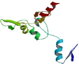 Zinc Finger Protein 42 Homolog (ZFP42)