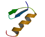 Zinc Finger Protein 426 (ZNF426)