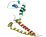 Zinc Finger Protein 428 (ZNF428)