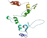 Zinc Finger Protein 432 (ZNF432)