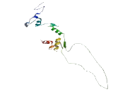 Zinc Finger Protein 434 (ZNF434)