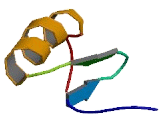 Zinc Finger Protein 436 (ZNF436)