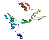 Gonadotropin Inducible Ovary Transcription Repressor 2 (GIOT2)