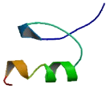 Zinc Finger Protein 445 (ZNF445)