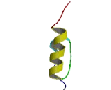 Zinc Finger Protein 461 (ZNF461)