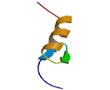 Zinc Finger Protein 467 (ZNF467)