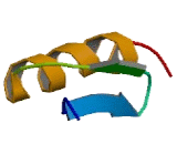 Chondrogenesis Zinc Finger Protein 1 (CZF1)