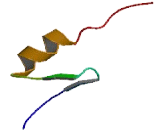 Zinc Finger Protein 471 (ZNF471)