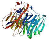 Zinc Finger Protein 502 (ZNF502)