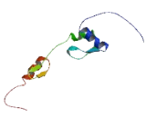 Zinc Finger Protein 512 (ZNF512)