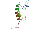 Zinc Finger Protein 512B (ZNF512B)