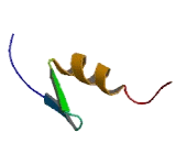 Zinc Finger Protein 513 (ZNF513)