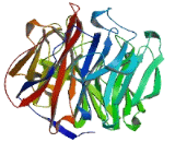 Zinc Finger Protein 514 (ZNF514)