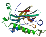 Zinc Finger Protein 518B (ZNF518B)