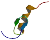 Zinc Finger Protein 519 (ZNF519)