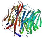 Zinc Finger Protein 526 (ZNF526)