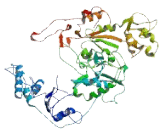 Zinc Finger Protein 532 (ZNF532)