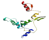 Zinc Finger Protein 534 (ZNF534)