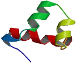 Zinc Finger Protein 541 (ZNF541)