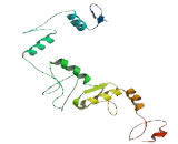 Zinc Finger Protein 547 (ZNF547)