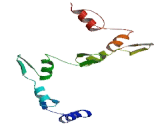 Zinc Finger Protein 548 (ZNF548)