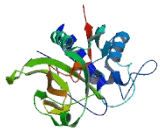 Zinc Finger Protein 551 (ZNF551)