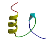 Zinc Finger Protein 559 (ZN<b>F559</b>)