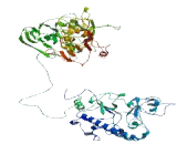 Zinc Finger Protein 560 (ZNF560)