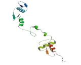 Zinc Finger Protein 565 (ZNF565)