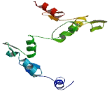 Zinc Finger Protein 567 (ZNF567)