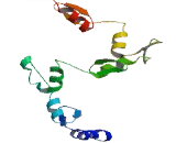 Zinc Finger Protein 568 (ZNF568)