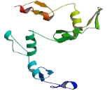 Zinc Finger Protein 57 (ZNF57)