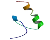 Zinc Finger Protein 571 (ZNF571)