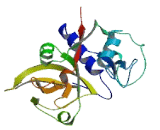 Zinc Finger Protein 572 (ZNF572)