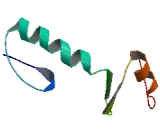 Zinc Finger Protein 579 (ZNF579)