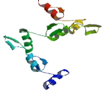 Zinc Finger Protein 583 (ZNF583)