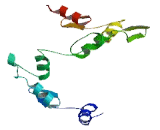 Zinc Finger Protein 586 (ZNF586)