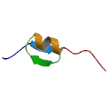 Zinc Finger Protein 587 (ZNF587)