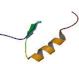 Zinc Finger Protein 596 (ZNF596)