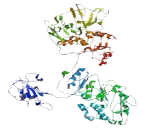 Zinc Finger Protein 598 (ZNF598)