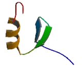 Zinc Finger Protein 605 (ZNF605)