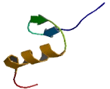 Zinc Finger Protein 610 (ZNF610)