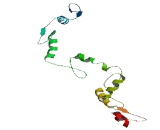 Zinc Finger Protein 611 (ZNF611)