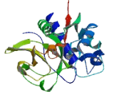 Zinc Finger Protein 614 (ZNF614)