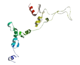 Zinc Finger Protein 615 (ZNF615)